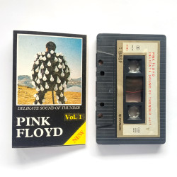 Pink Floyd – Delicate Sound...
