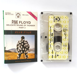Pink Floyd – Delicate Sound...